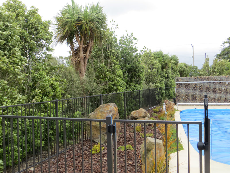 Pool Fencing - Standard Style - Red Stag Gates & Fences